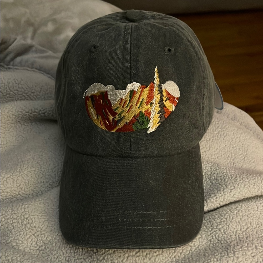 Embroidered Ballroom Thieves Mountain Scene Cap